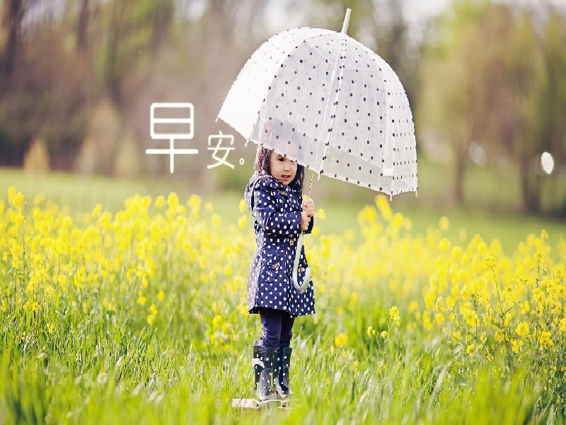 试管囊胚畸形率，高锰酸钾烧坏试管